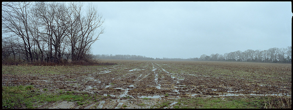 _018.soggy.field