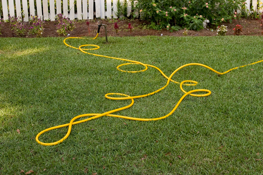 yellow.hose_5469p